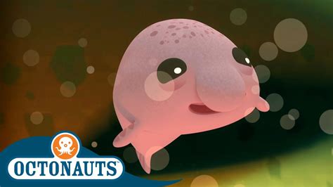 @Octonauts - The Blobfish Brothers | Full Episode 33 | Cartoons for ...