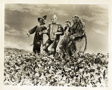 WIZARD OF OZ, THE (1939) Photo of poppy field with snow - WalterFilm