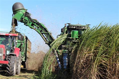 Harvesting Sugar Cane, Mirani Queensland Amazing Photos, Cool Photos ...