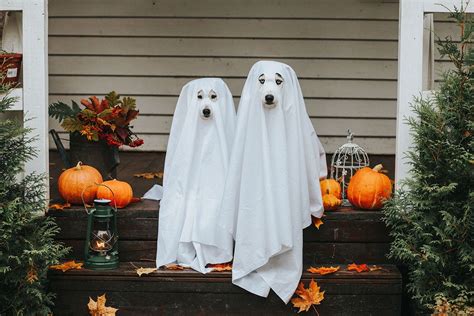 Why do we wear bedsheets as a ghost costume? A closer look at its ...