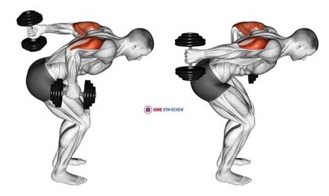 Dumbbell Standing Alternating Tricep Kickback - Home Gym Review