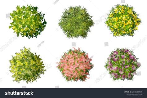 111,708 Flowers Plan Images, Stock Photos & Vectors | Shutterstock