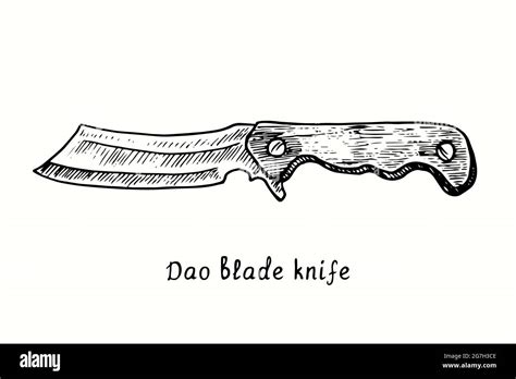 Dao blade knife type. Ink black and white drawing outline illustration ...