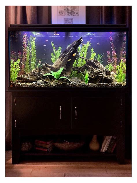 Gorgeous 30+ Awesome Fish Tank Ideas https://gardenmagz.com/30-awesome ...