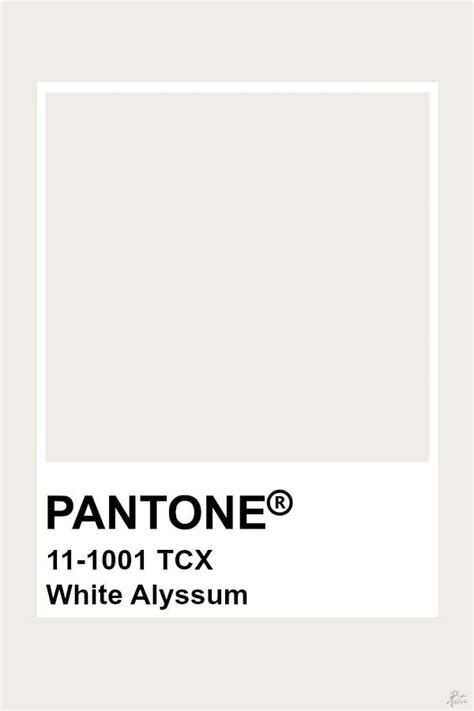 Pantone White Alyssum Paleta Pantone, Pantone Tcx, Pantone Palette ...