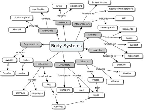 Organ Systems Concept Map