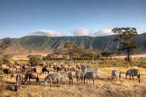 Cratere del Ngorongoro, Tanzania: guida ai luoghi da visitare - Lonely ...