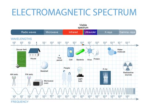 What is the ELECTROMAGNETIC SPECTRUM | MooMooMath and Science