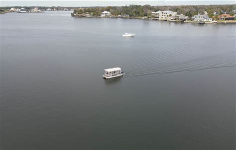 10 Awesome Crystal River Manatee Tours - Uprooted Traveler