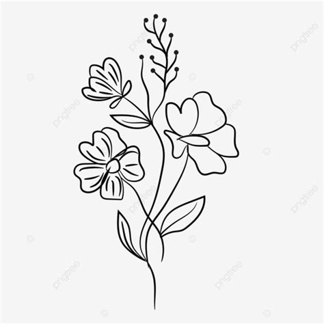 Flower Line Art Vector, Flower Drawing, Flower Sketch, Flower Liner PNG ...