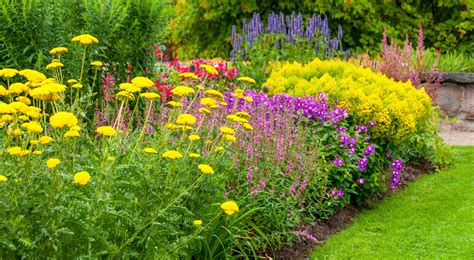 15 Summer Flowers for the Prettiest Garden Ever