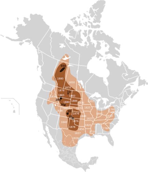 Visualizing Climate and Loss: Extinction