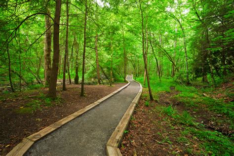 Accessible & Stroller-Friendly Hiking Trails in the Smoky Mountains