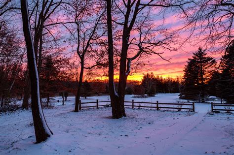 Michigan Nut Photography | Winter in Michigan