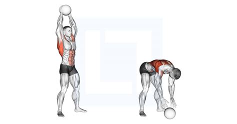 Medicine Ball Overhead Slam - Guide, Benefits, and Form