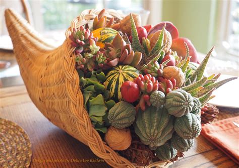 Make a Succulent Cornucopia - Debra Lee Baldwin