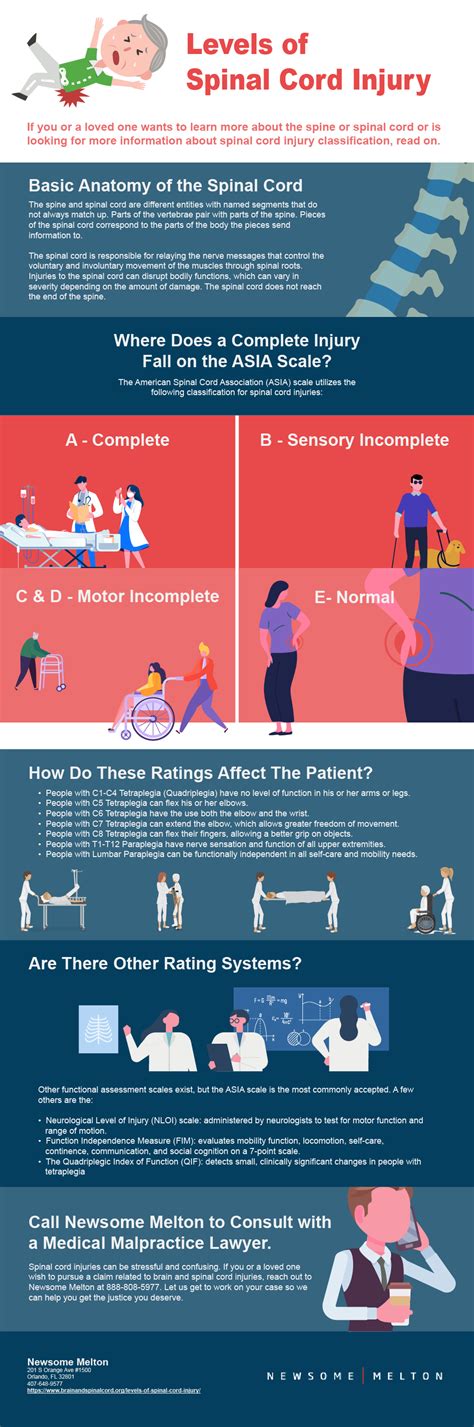 Spinal Cord Injury Levels And Function Chart