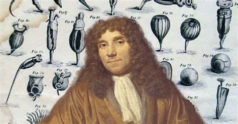 BIOGRAFI TOKOH EKOLOGI TUMBUHAN Antony van Leeuwenhoek