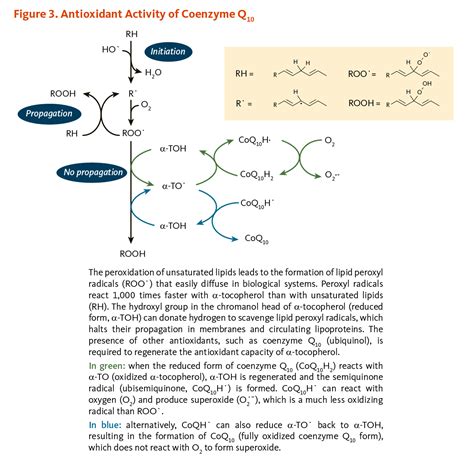 Coenzyme Q10 | Linus Pauling Institute | Oregon State University