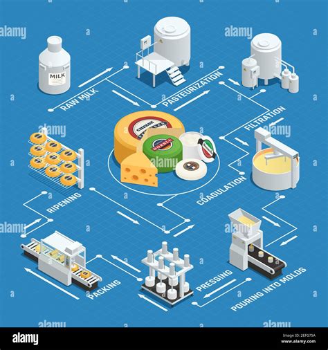 Dairy factory cheese production process isometric flowchart with milk ...