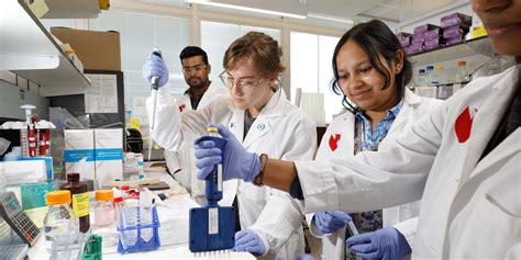 Department of Biochemistry and Molecular Biology | University of ...