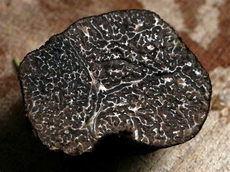 Black Truffles: The Best Places in the World to Enjoy This Delicacy ...