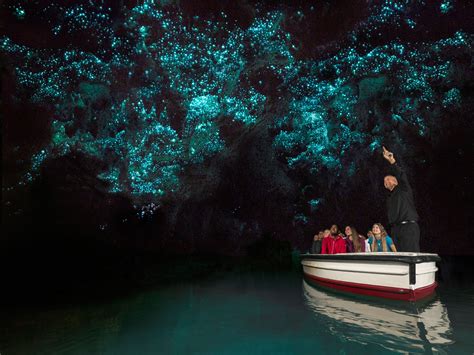 Waitomo Glowworm Caves Tour- Tauranga