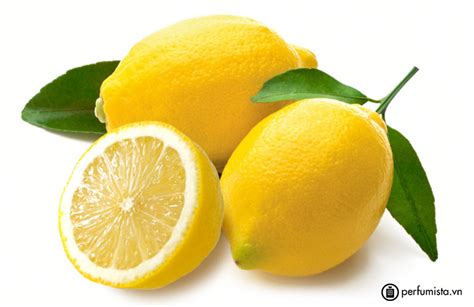 Hương nước hoa Lemon - Quả chanh vàng