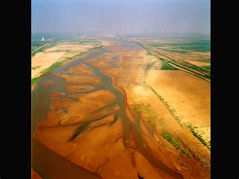 Yellow River Delta National Nature Reserve - China.org.cn