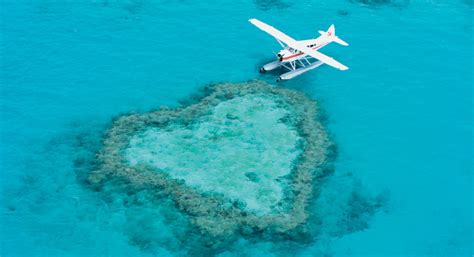 Gallery - Heart reef australia