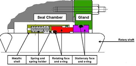 Essential elements of mechanical seals