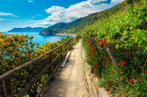 2024 Cinque Terre Hiking Trails