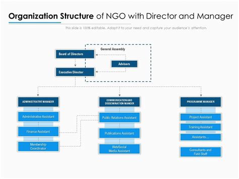 Organization Structure Of NGO With Director And Manager | PowerPoint ...