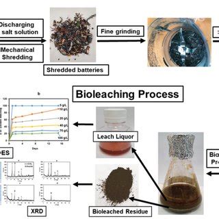 Typical bioleaching process, Reproduced with permission.[⁶²] Copyright ...