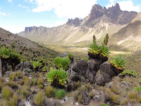 Mt. Kenya Hike - Wilderness Inquiry