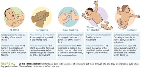 baby reflexes - Google Search | Newborn assessment, Pediatric nursing ...