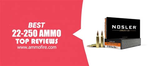 Find Your Perfect Shot with the Best 22-250 Remington Ammo in [y] - Top ...