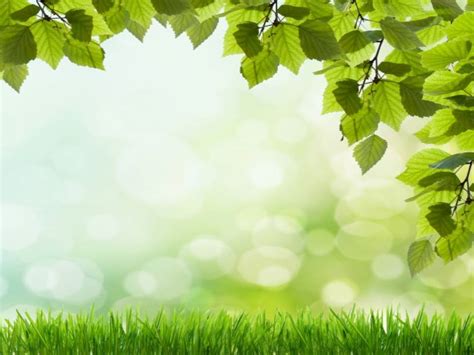 Beautiful green grass Free PPT Backgrounds for your PowerPoint Templates