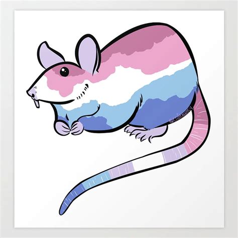 Bigender Nonbinary LGBTQ+ Pride Flag Fancy Rat Art Print by craftmancy ...