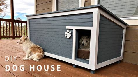 Dog house design plans - assebrown