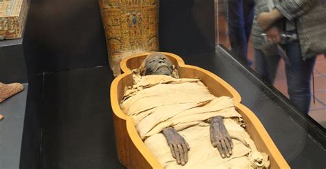 Royal mummies to be transfered from Egyptian Museum to NMEC on June.15 ...