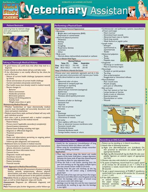 Veterinary antibiotics chart