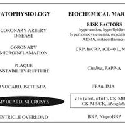 Biochemical markers for heart disease evaluation. Modified according to ...