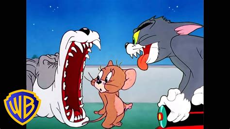 Funny Cartoon Pictures Tom And Jerry - Infoupdate.org