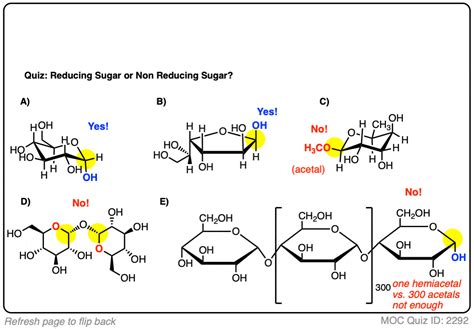 Glycogen Structure Reducing Ends