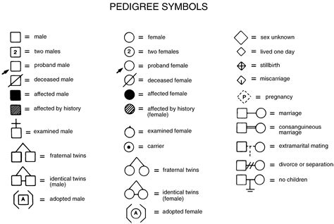 Related image | Pedigree, Family genogram, Genogram template