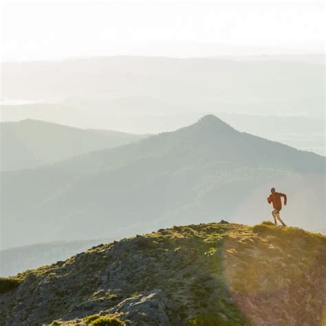 Rejoice! Mount Buller Riding and Walking Trails have Reopened - One ...