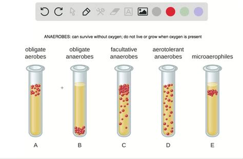 SOLVED: Which of the following terms best describes an organism that ...