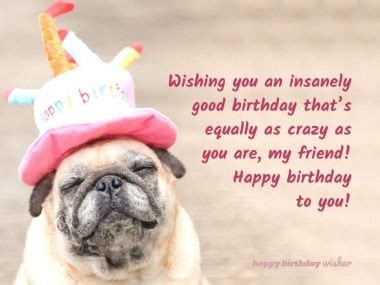 a pug dog wearing a birthday hat with the words, wishing you an ...