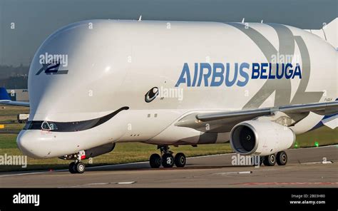 Airbus Beluga XL landing at Airbus Broughton cheshire Stock Photo - Alamy